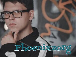 Phoenixzorg