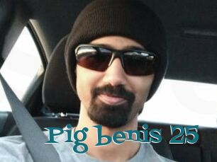 Pig_benis_25