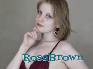 RosaBrown