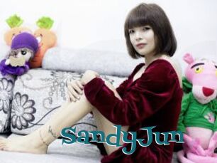 SandyJun