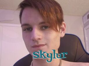 Skylur