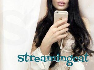 Streamingcat