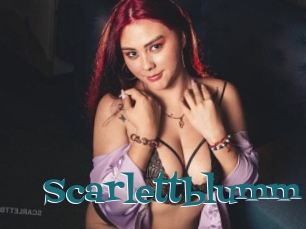 Scarlettblumm