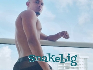 Snakebig