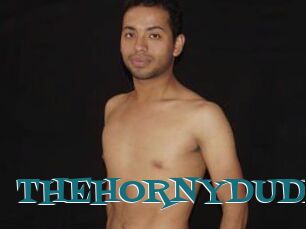 THEHORNYDUDE