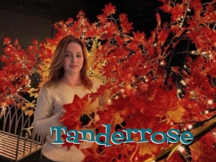 Tanderrose