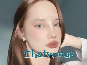 Thaivenus