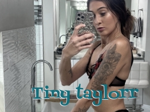 Tiny_taylorr