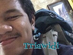 Triawidi