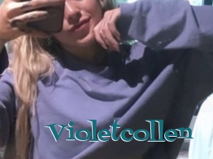 Violetcollen