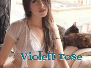 Violett_rose