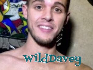 WildDavey