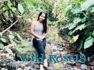 Wild_Rose18