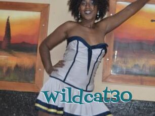 Wildcat30