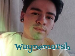 Waynemarsh