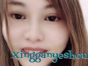 Xingganyeshou