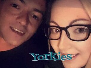 Yorkies